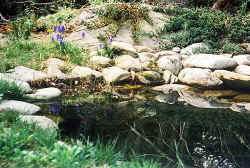 bigpond1.jpg (55960 bytes)