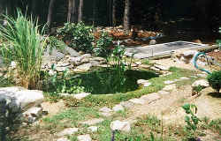 bigpond3.jpg (56348 bytes)