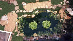 bigpond(above).jpg (56083 bytes)