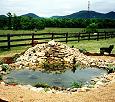 Begoon's pond