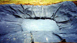 begoonpondliner.jpg (31343 bytes)